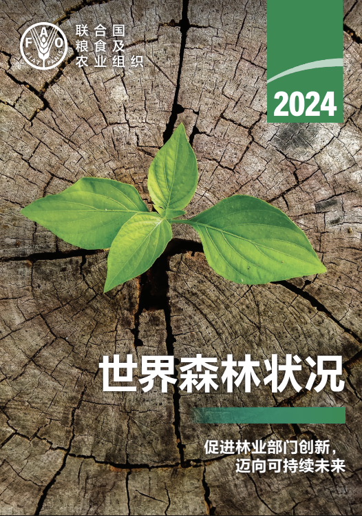 世界森林状况报告